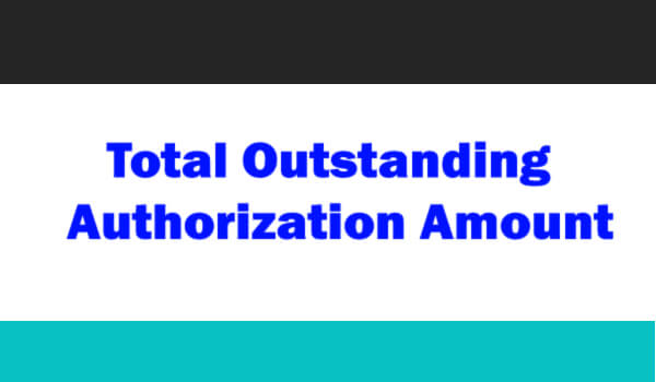 Total outstanding authorization amount